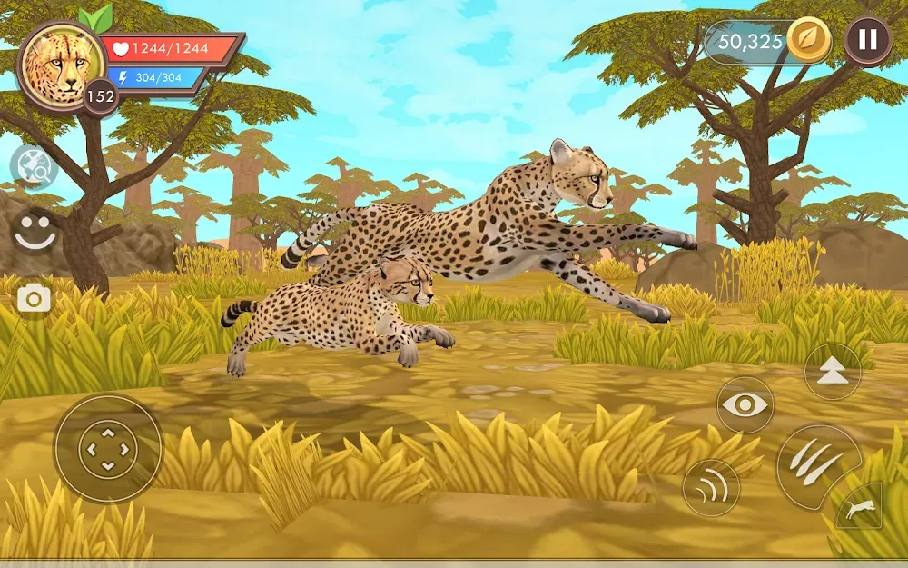 WildCraft: Animal Sim Online screenshot: The river crossing below the rock shelf with the snow line above