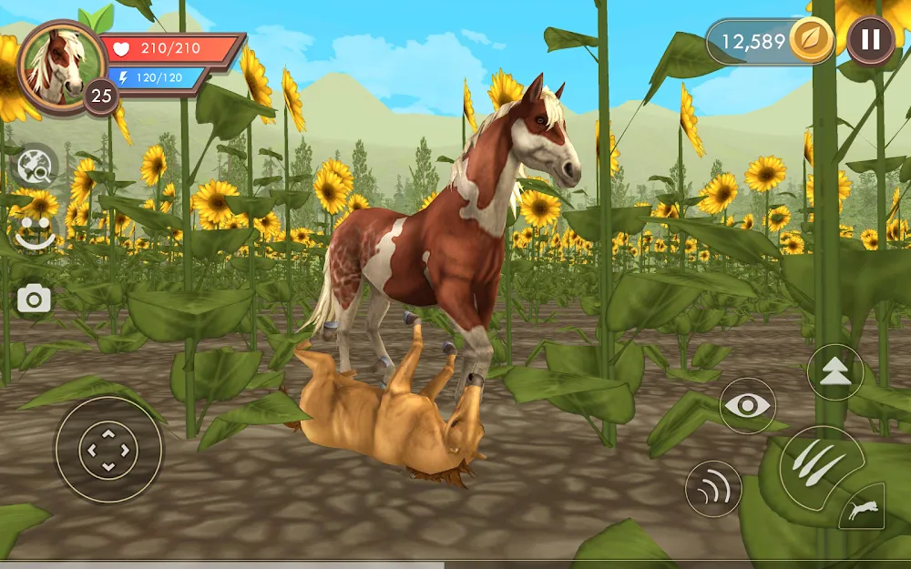 WildCraft: Animal Sim Online screenshot: High ground after dark, with the range dropping away behind